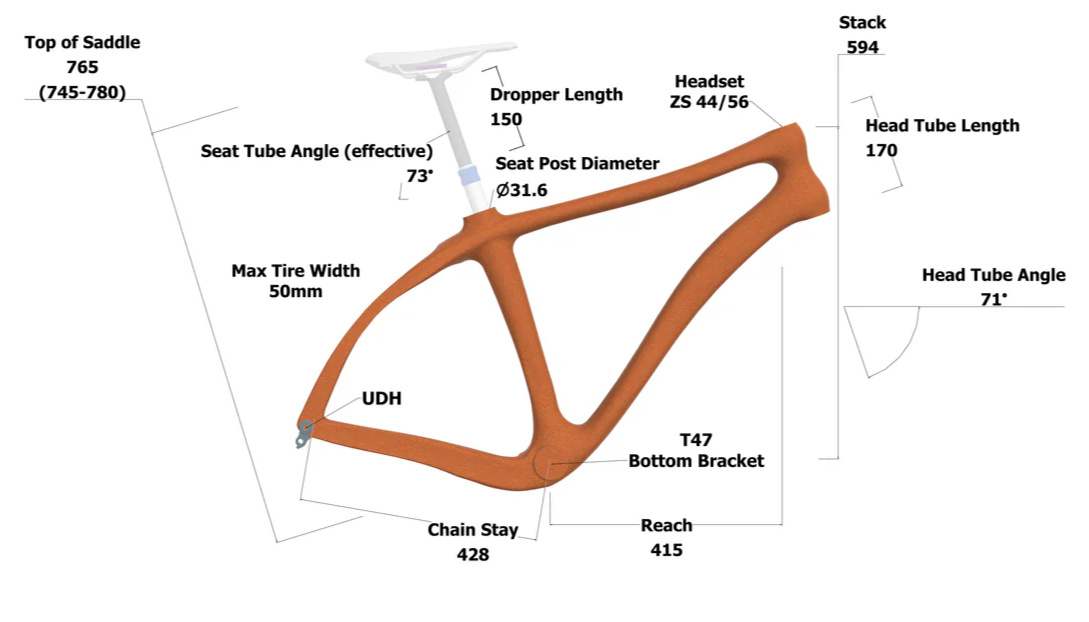 Large Hardtail Large Hardtail